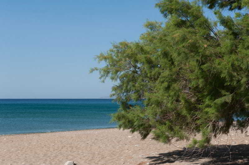 Aphrodite Samos Suites Marathokampos Luaran gambar