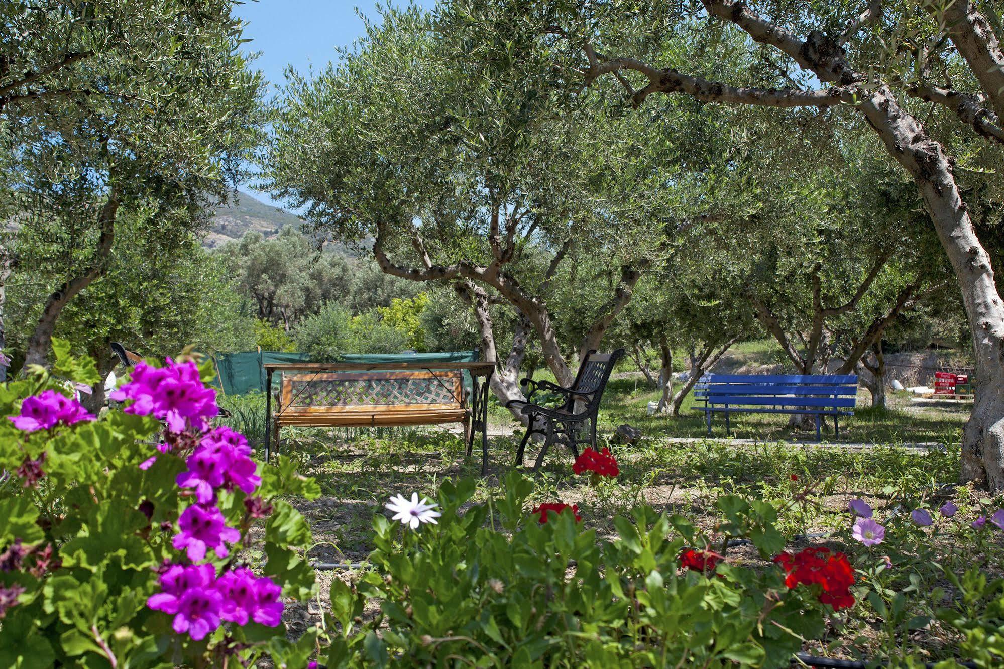 Aphrodite Samos Suites Marathokampos Luaran gambar